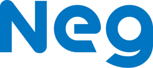 Nippon Electric Glass