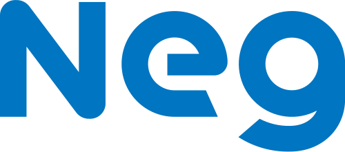 Nippon Electric Glass